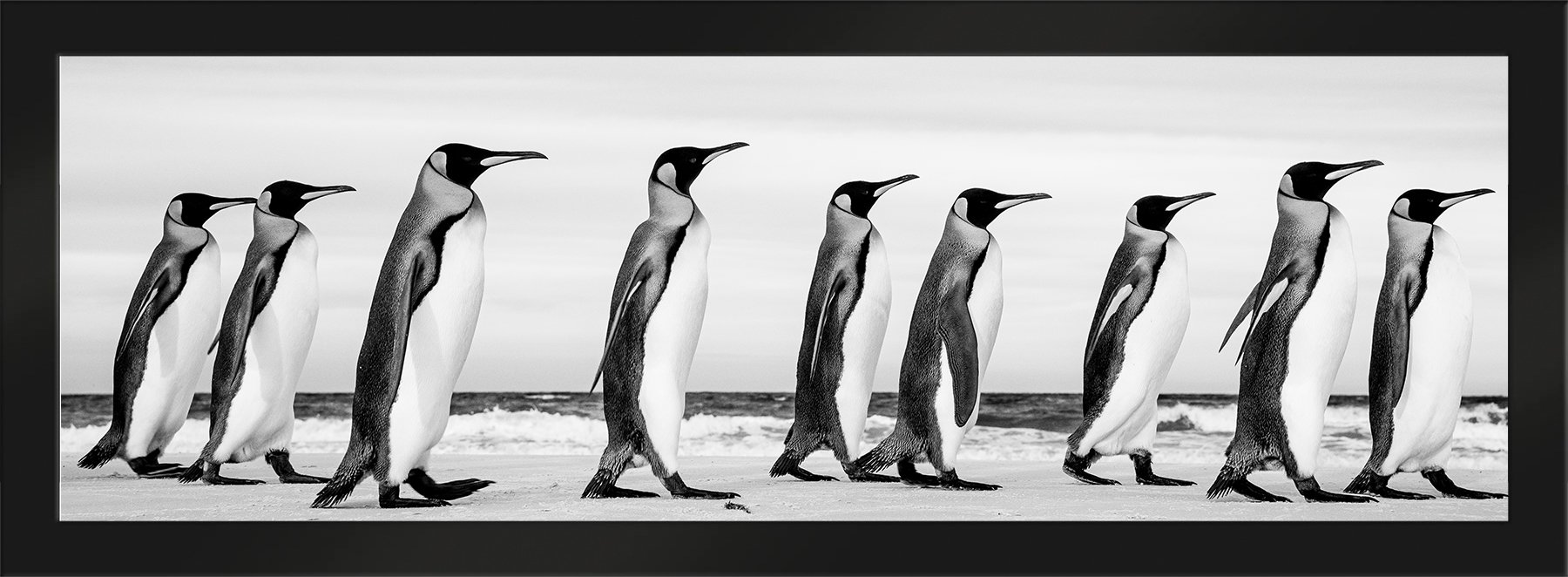 DeBock-Marching Kings-Framed-Matte-Black-1800x.jpg