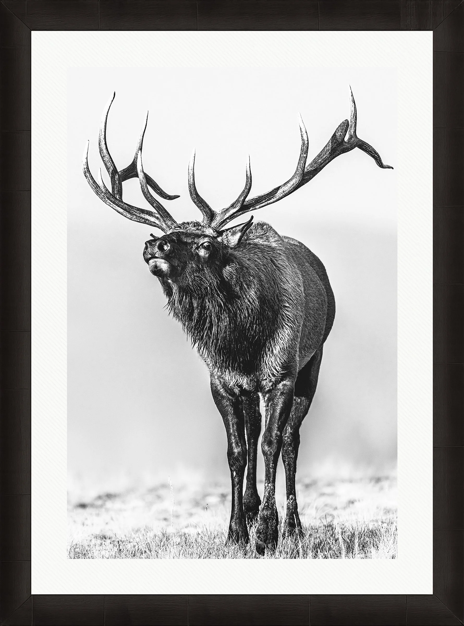 Blake-DeBock-Call-Of-The-Wild_web-Framed-Summit-Ash-Wht-Liner_web.jpg