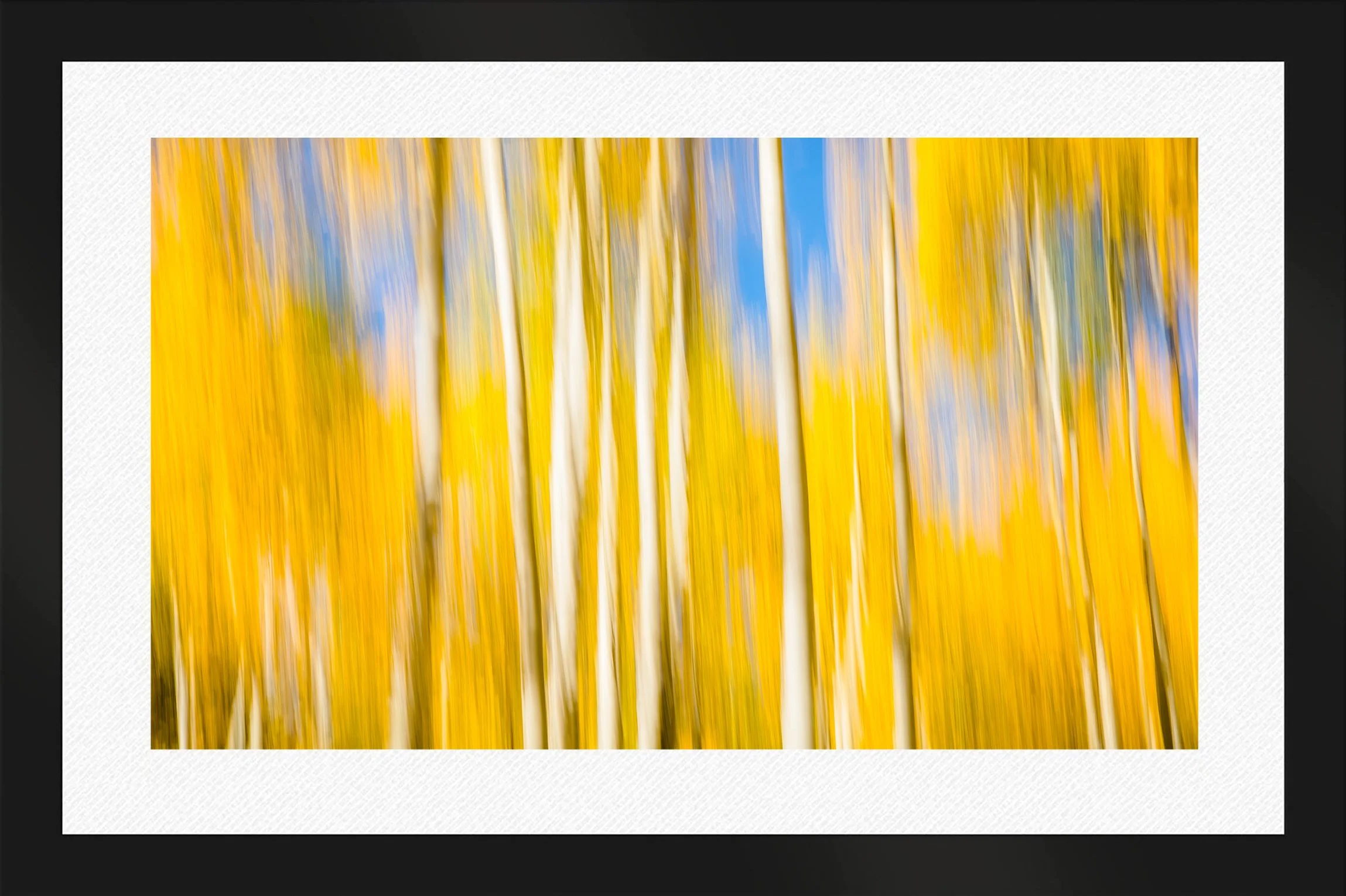 DeBock-Aspen-Dreams-Framed-Matte-Black-Wht-Liner.jpg