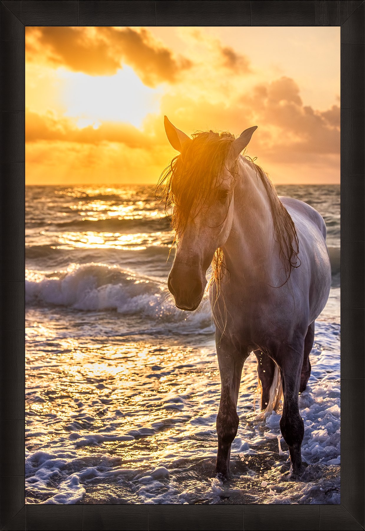 DeBock-Sea-Stallion-Framed-Dark-Ash-1800x.jpg