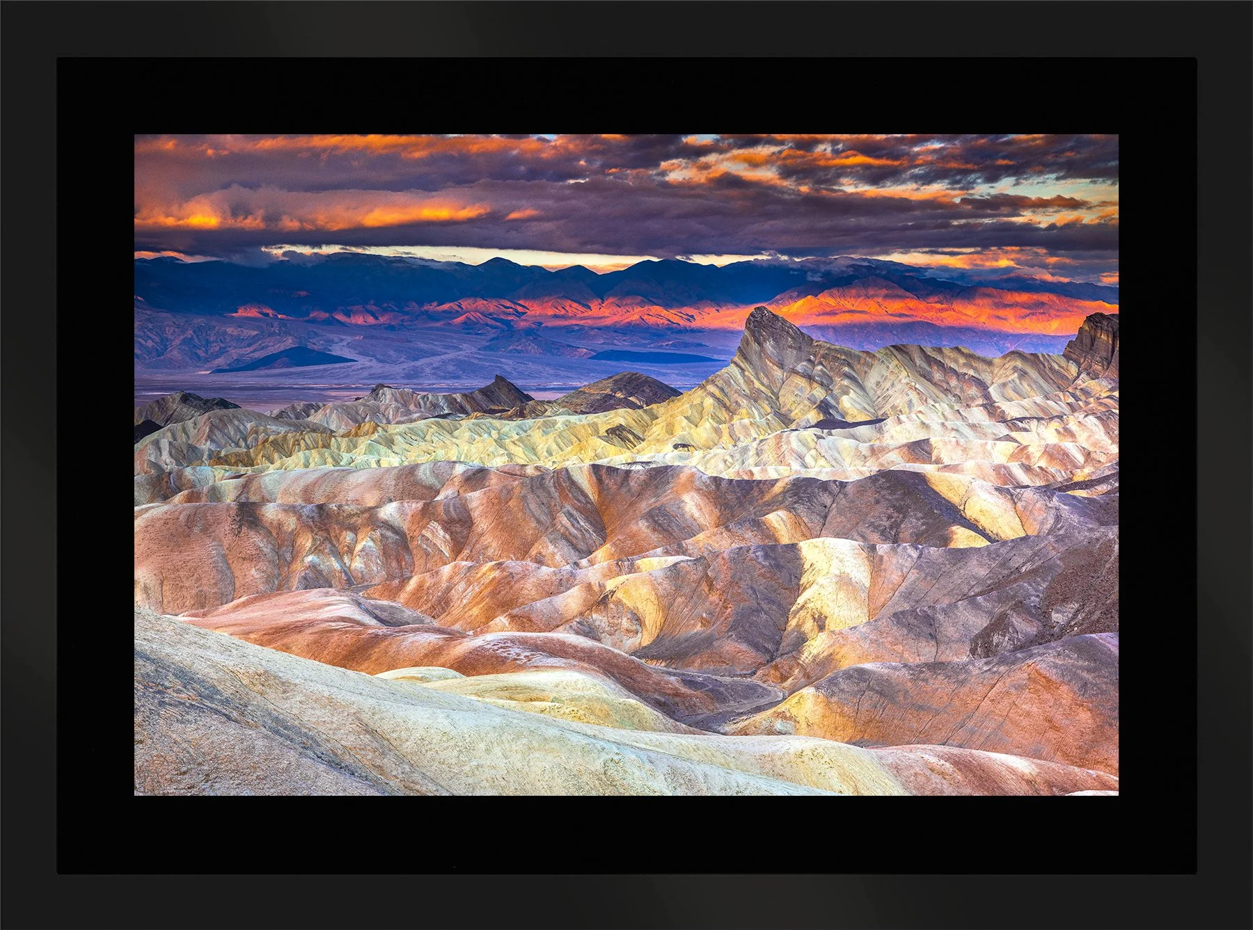 DeBock-Desert Paintbrush-Framed-Matte-Black-Blk-Liner-1800x.jpg