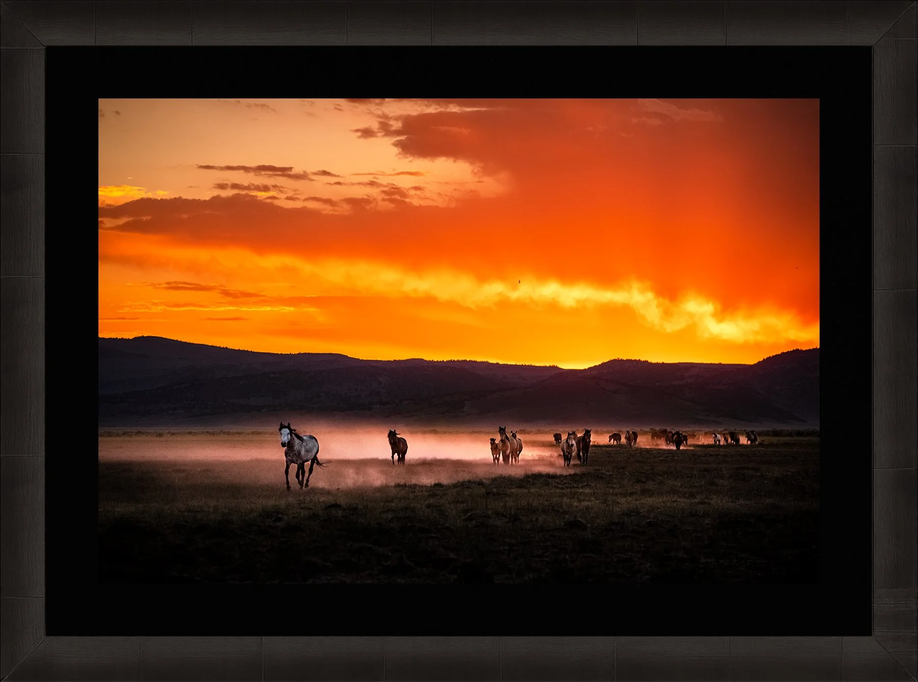 DeBock-Spirit-of-the-Mustang-Framed-Dark-Ash-Blk-Liner-1800x.jpg