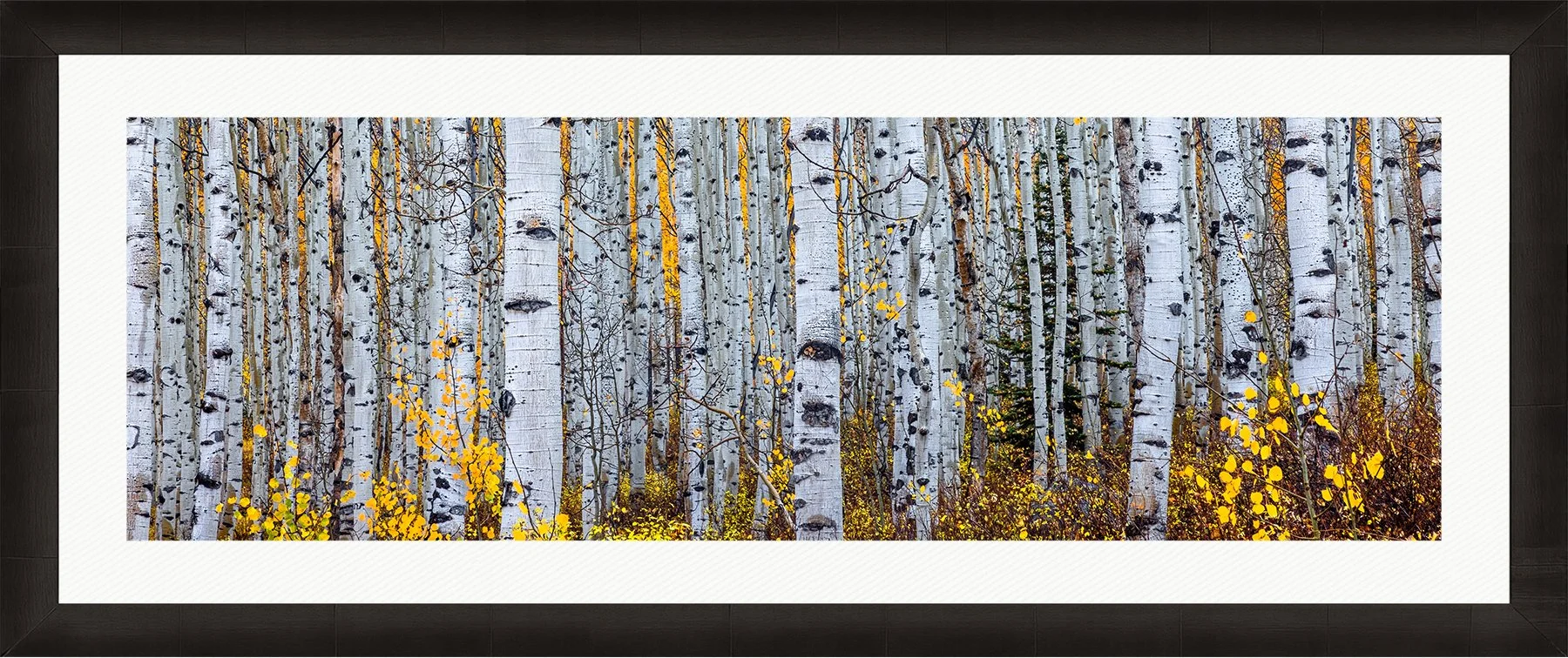 DeBock-Aspen-Forest-Framed-Dark-Ash-Wht-Liner-1800x.jpg