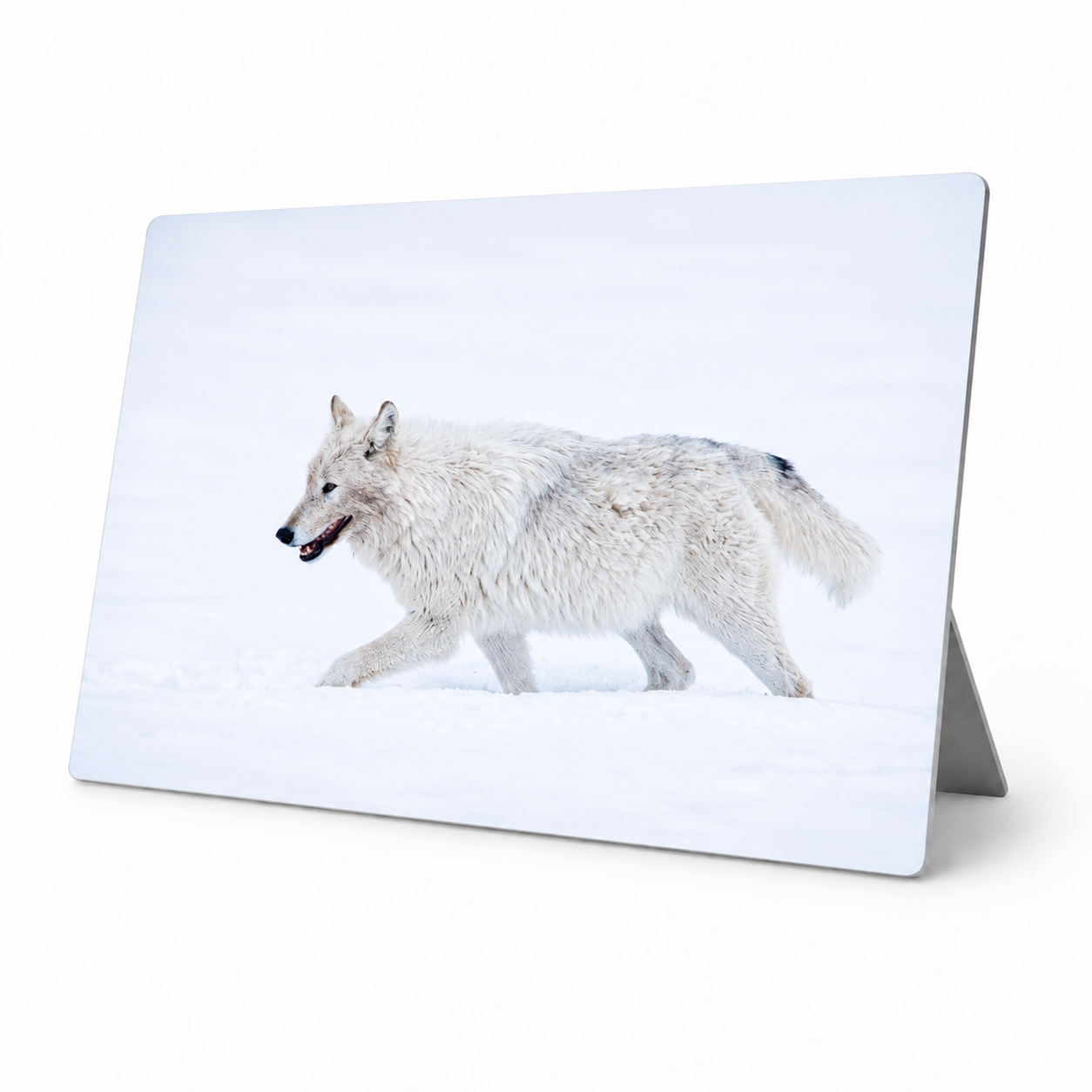 Blake-DeBock-White-Wolf-Mini-Metal.png