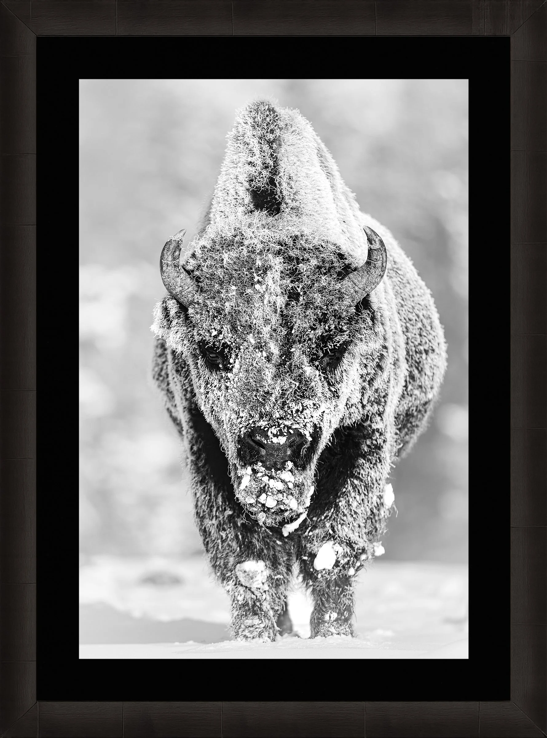 Blake-DeBock-28-Below_web-Framed-Summit-Ash-Blk-Liner_web.jpg