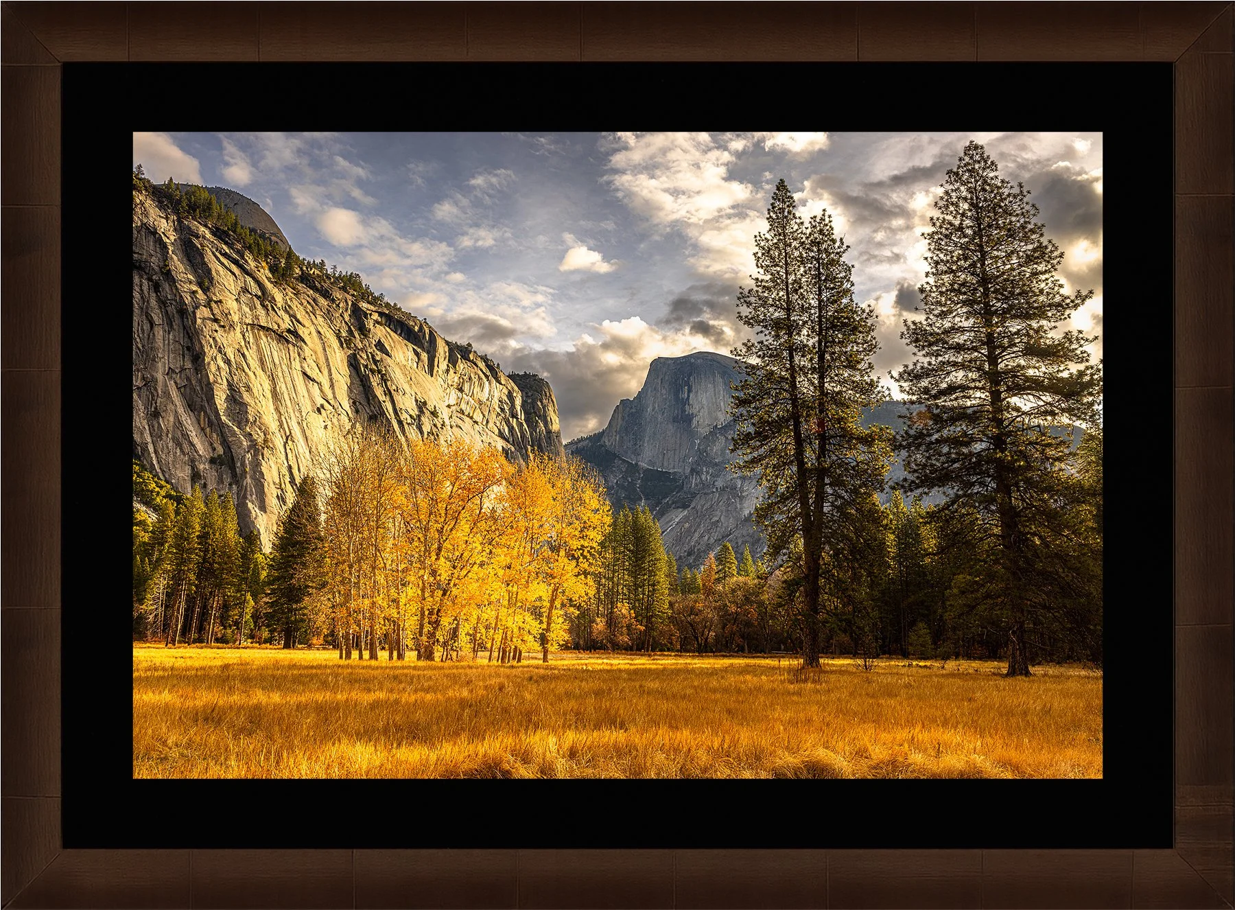 Blake-DeBock-Yosemite-Splendor_web-Framed-Sequoia-Blk-Liner_web.jpg