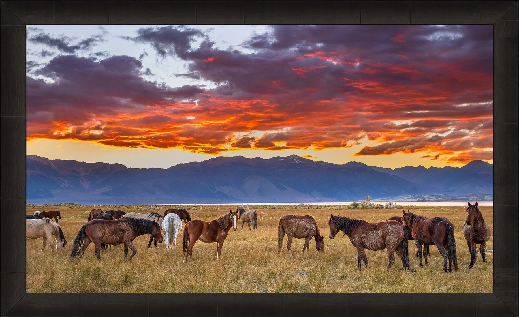 DeBock-As-Day-Ends-At-Mono-Lake-Framed-Dark-Ash-1800x.jpg