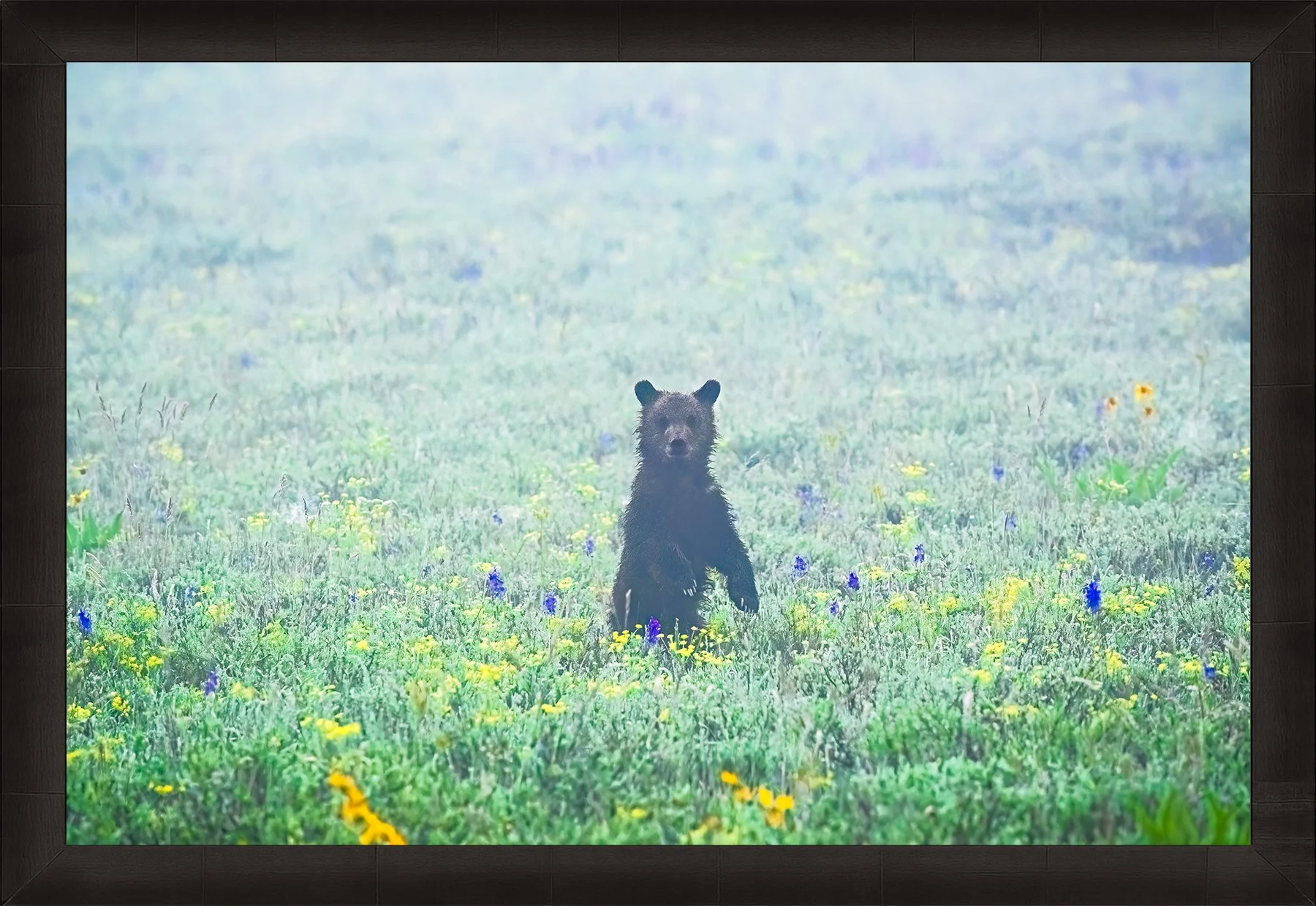 DeBock-Misty-Cub-Framed-Dark-Ash-1800x.jpg