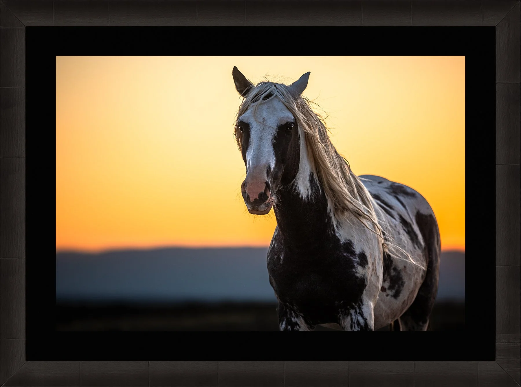 DeBock-The-Stallion-Framed-Dark-Ash-Blk-Liner-1800x.jpg