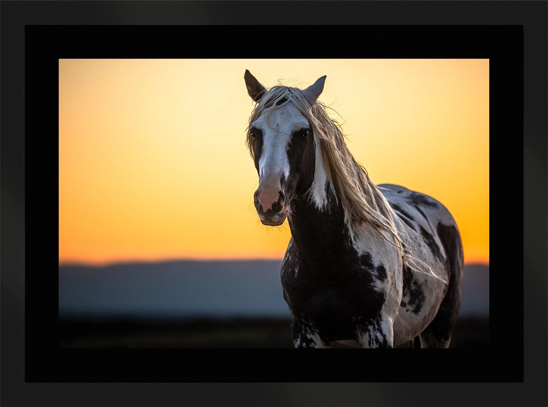 DeBock-The-Stallion-Framed-Matte-Black-Blk-Liner-1800x.jpg