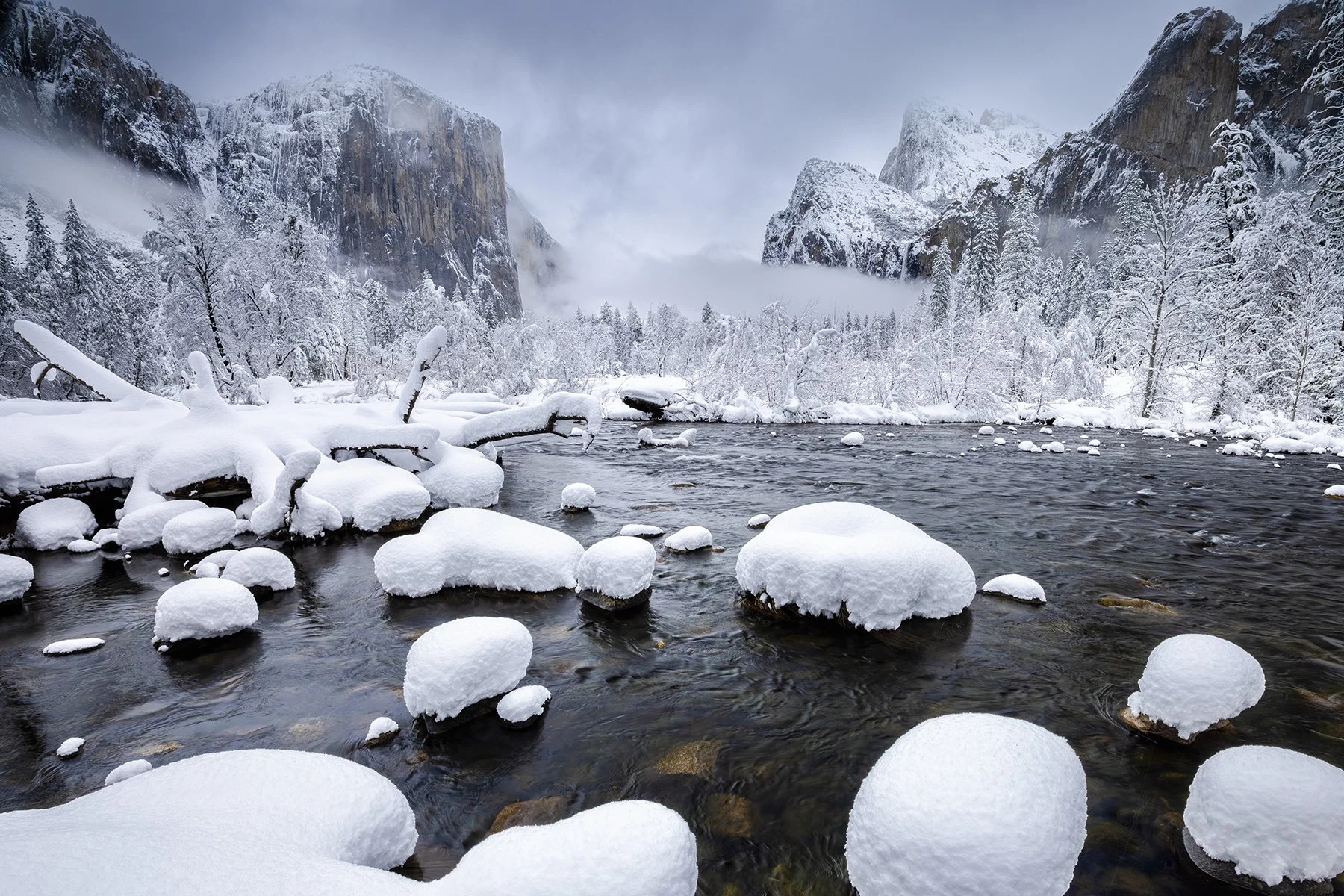 WINTER'S REALM