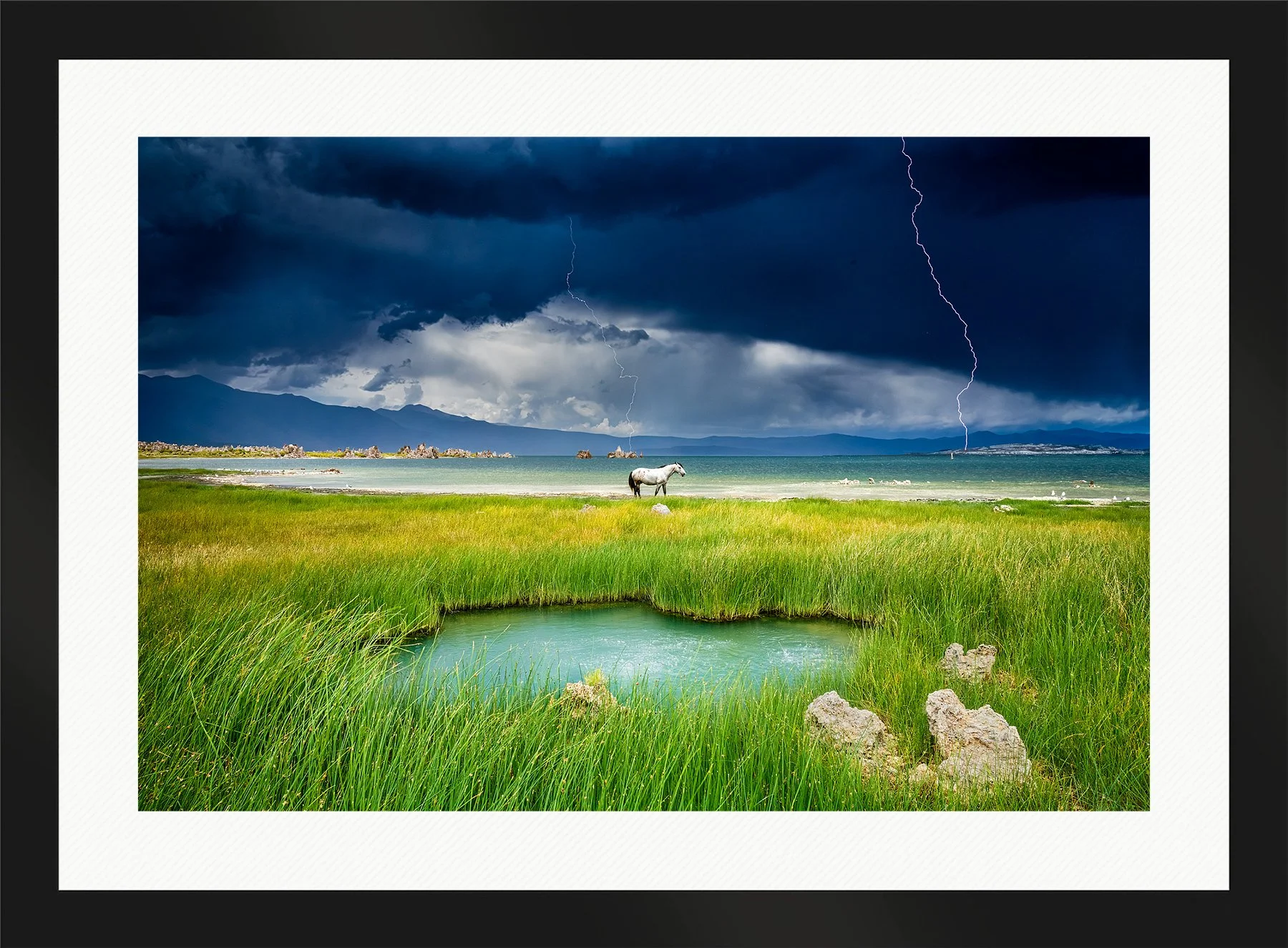 Blake-DeBock-The-Last-Stallion_web-Framed-Matte-Black-Wht-Liner_web.jpg