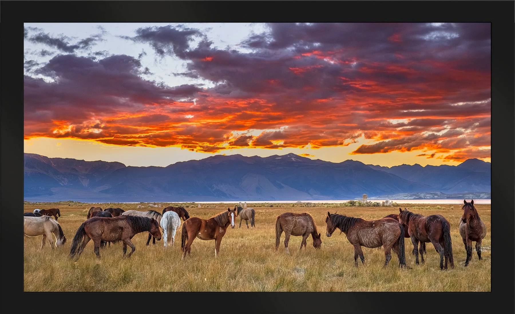 DeBock-As-Day-Ends-At-Mono-Lake-Framed-Matte-Black-1800x.jpg