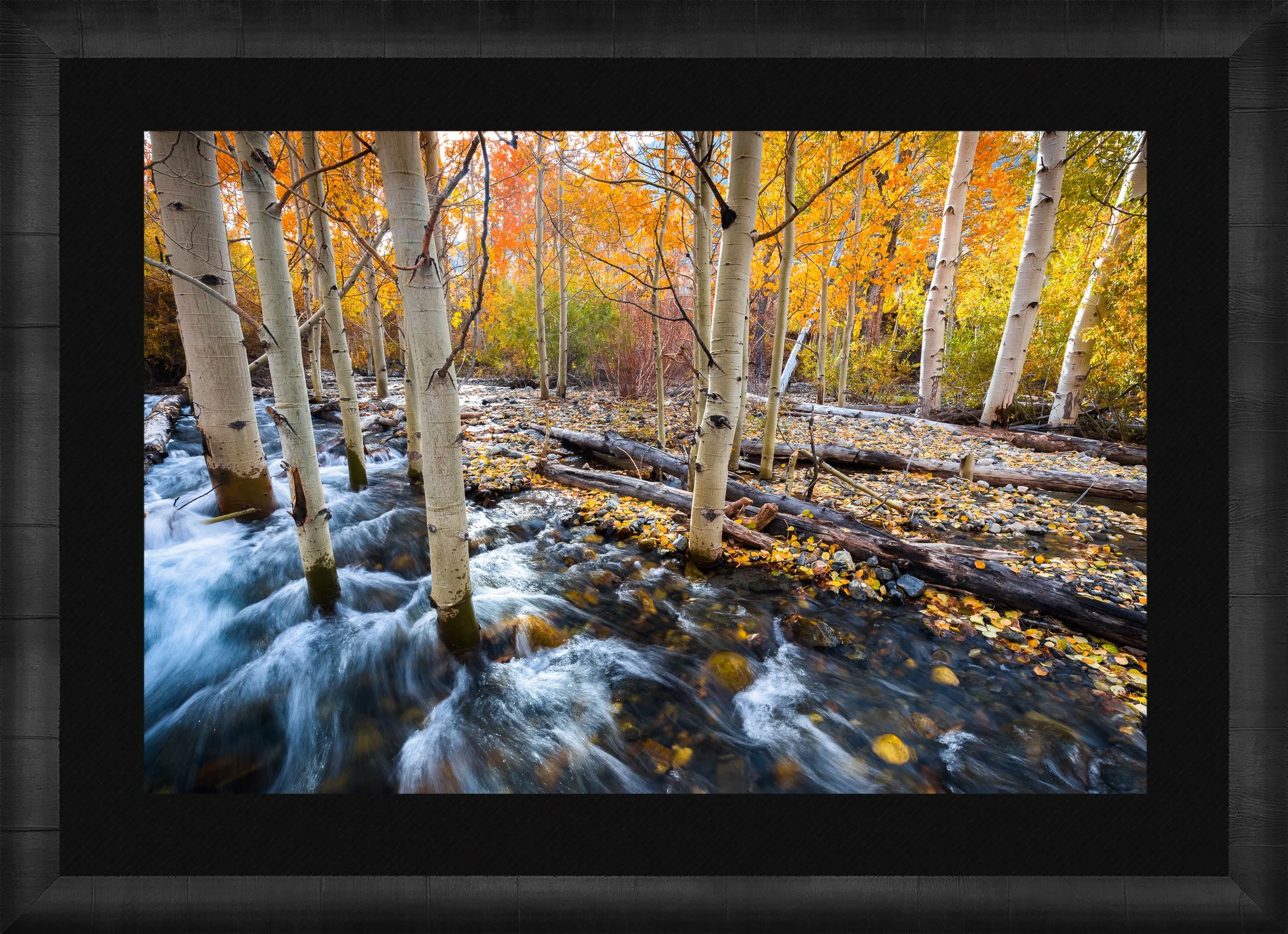 DeBock-Easten-Sierra-Aspens-Framed-Dark-Ash-Blk-Liner.jpg