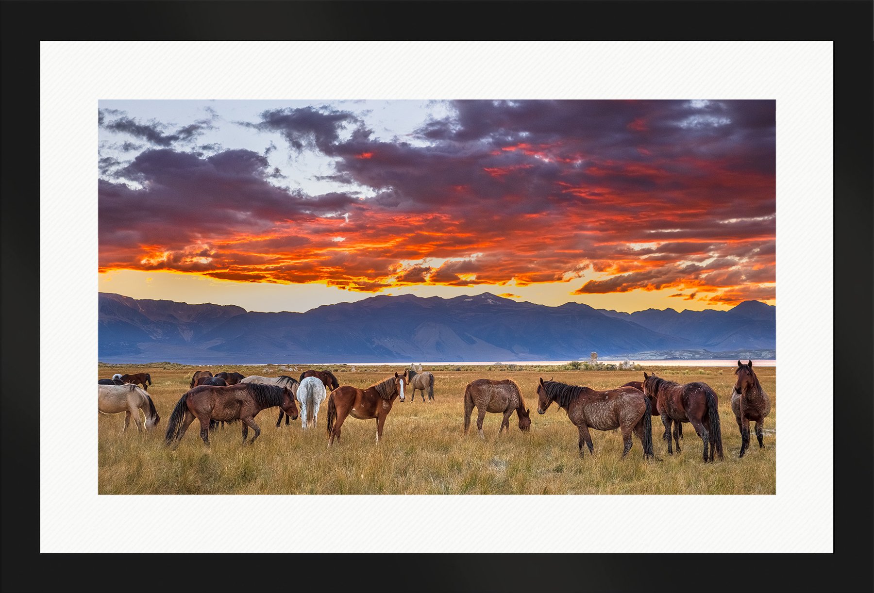 DeBock-As-Day-Ends-At-Mono-Lake-Framed-Matte-Black-Wht-Liner-1800x.jpg