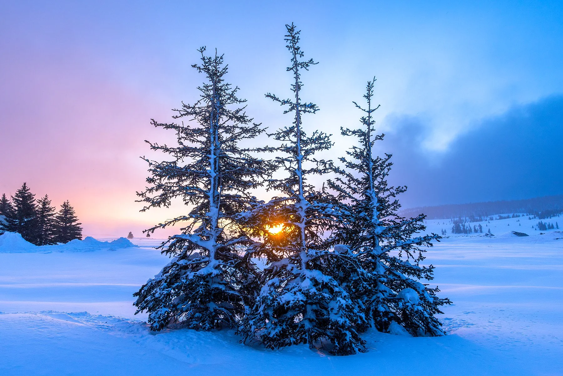Blake-DeBock-Snowcreek-Sunrise_web.jpg