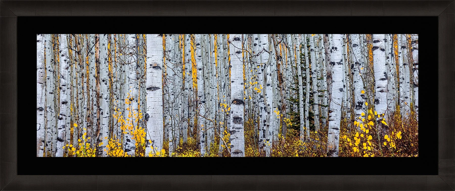 DeBock-Aspen-Forest-Framed-Dark-Ash-Blk-Liner-1800x.jpg