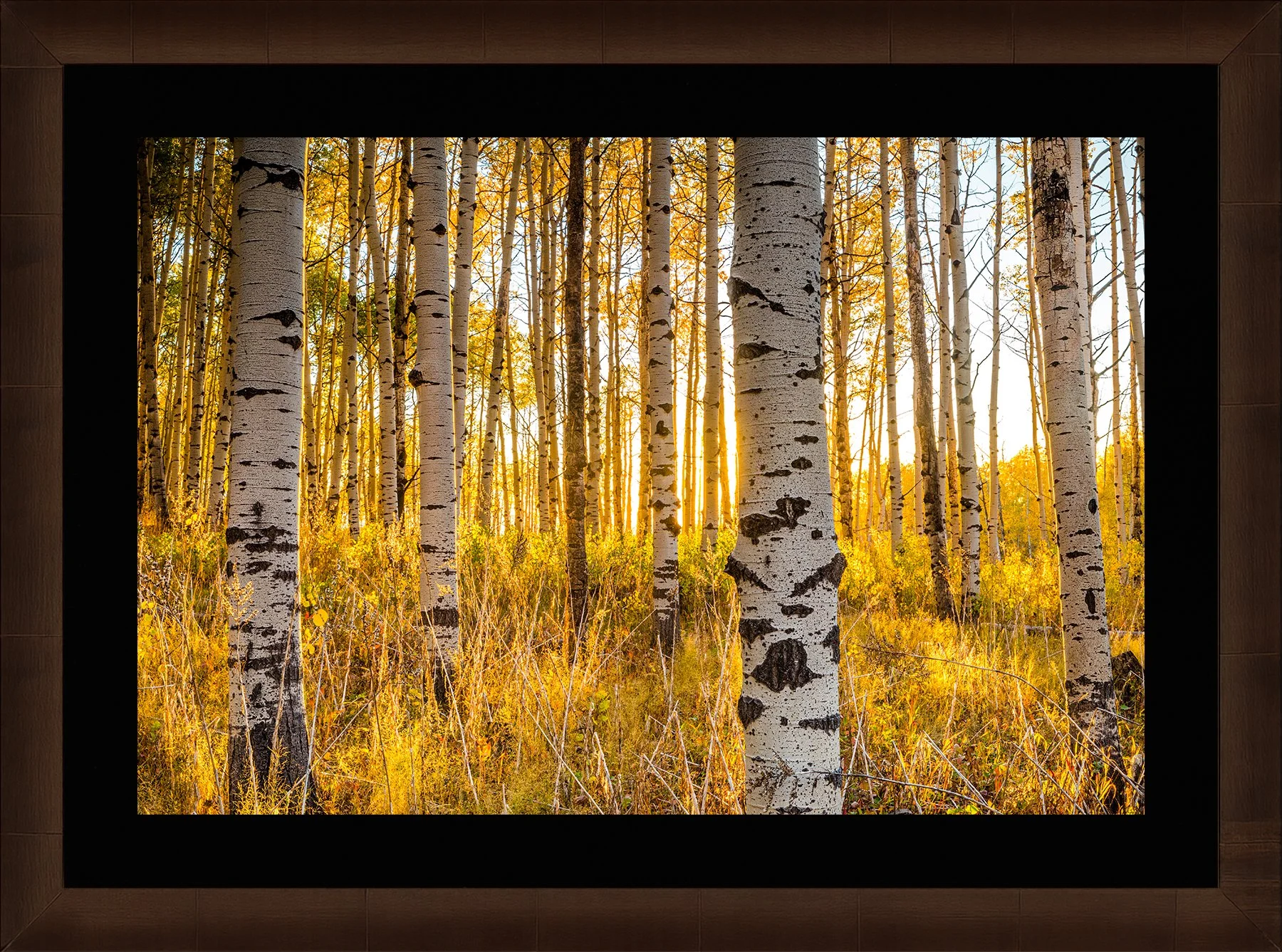DeBock-Aspen-Glow-Framed-Cigar-Leaf-Blk-Liner-1800x.jpg