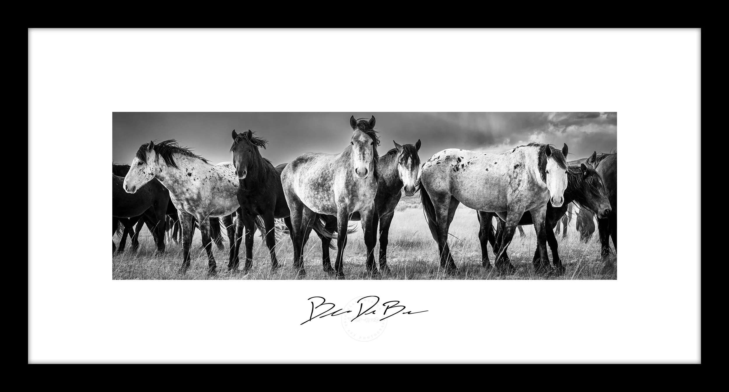 Poster-Wild-Horses-24x12-Framed.jpg