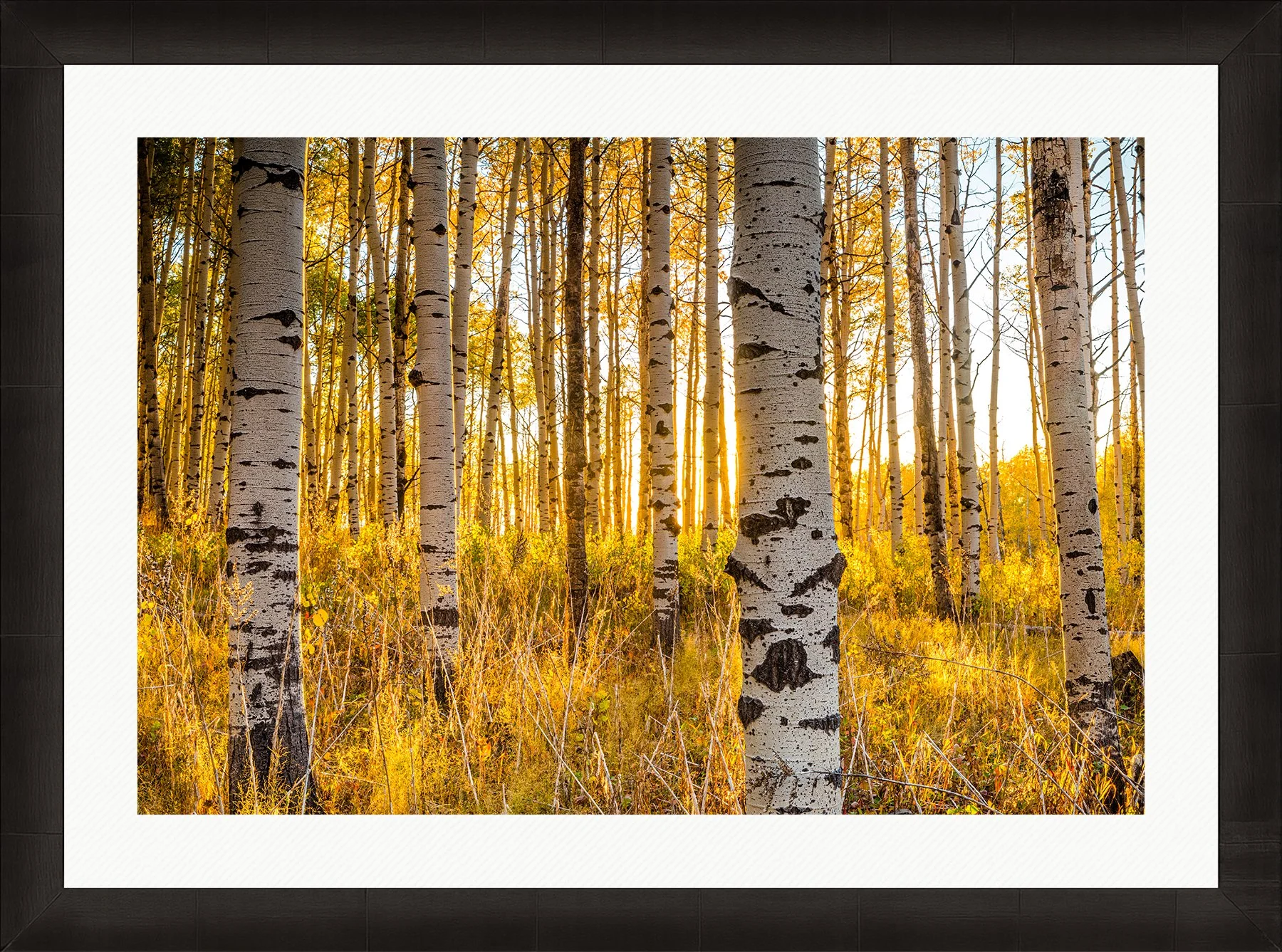 DeBock-Aspen-Glow-Framed-Dark-Ash-Wht-Liner-1800x.jpg