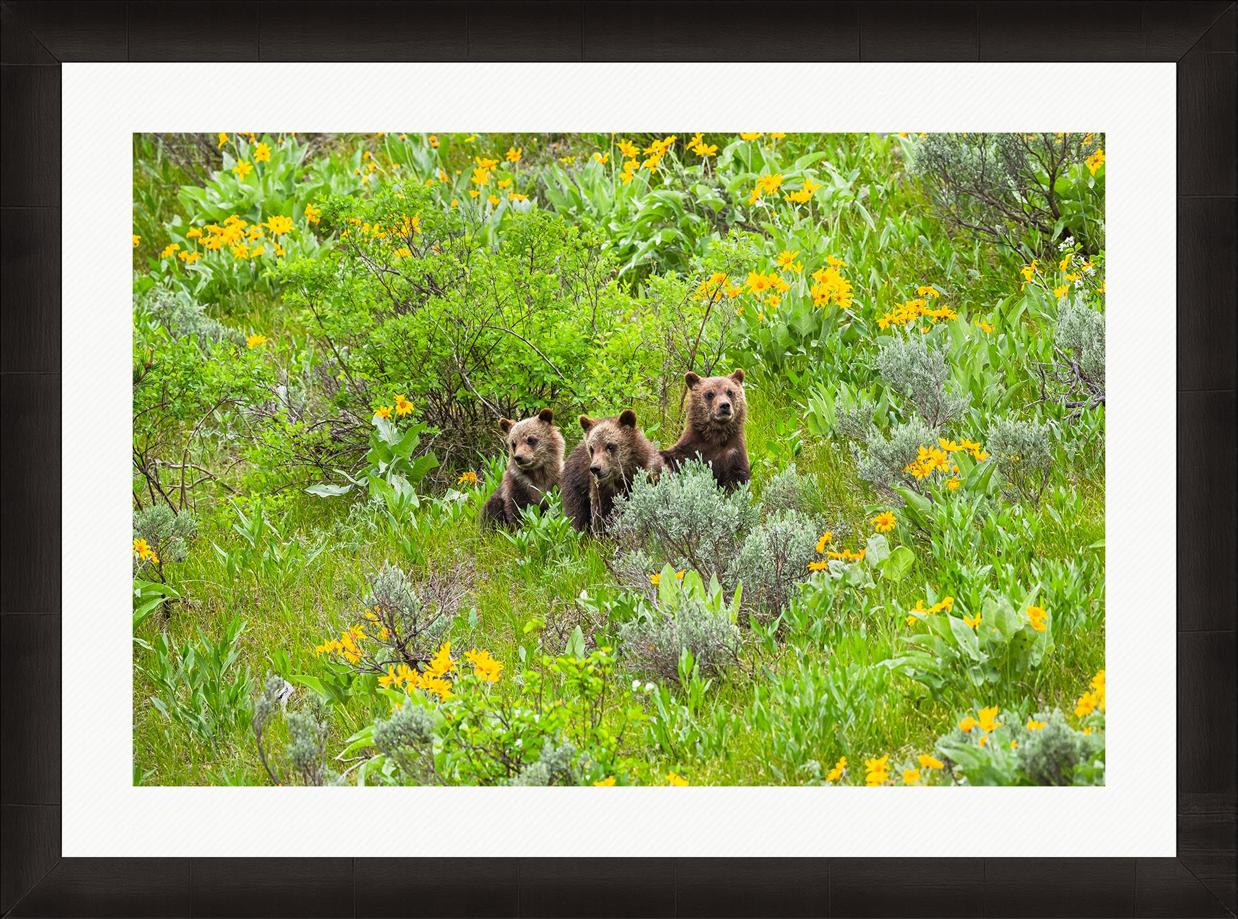 DeBock-Together-In-The-Wildflowers-Framed-Dark-Ash-Wht-Liner-1800x.jpg