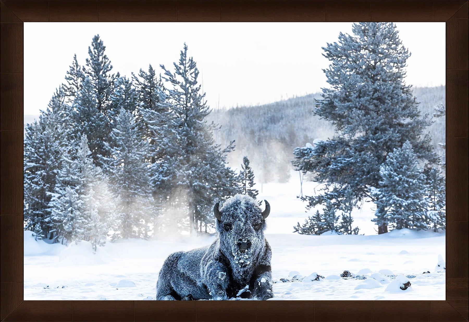DeBock-Titan-Framed-Cigar-Leaf-1800x.jpg