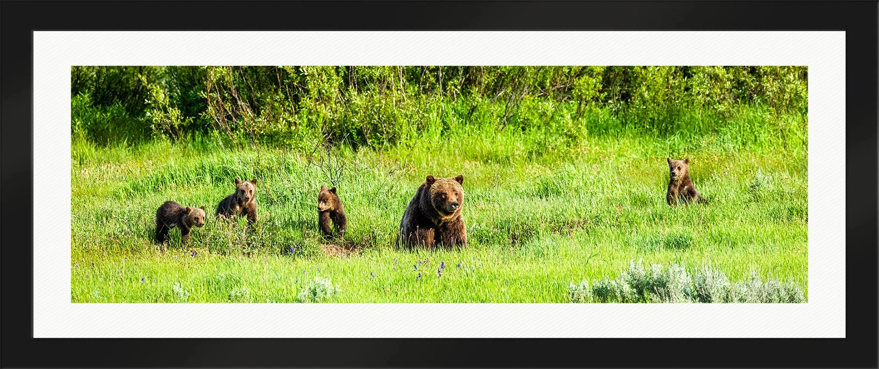 DeBock-Springtime-At-Willow-Flats-Framed-Matte-Black-Wht-Liner-1800x.jpg