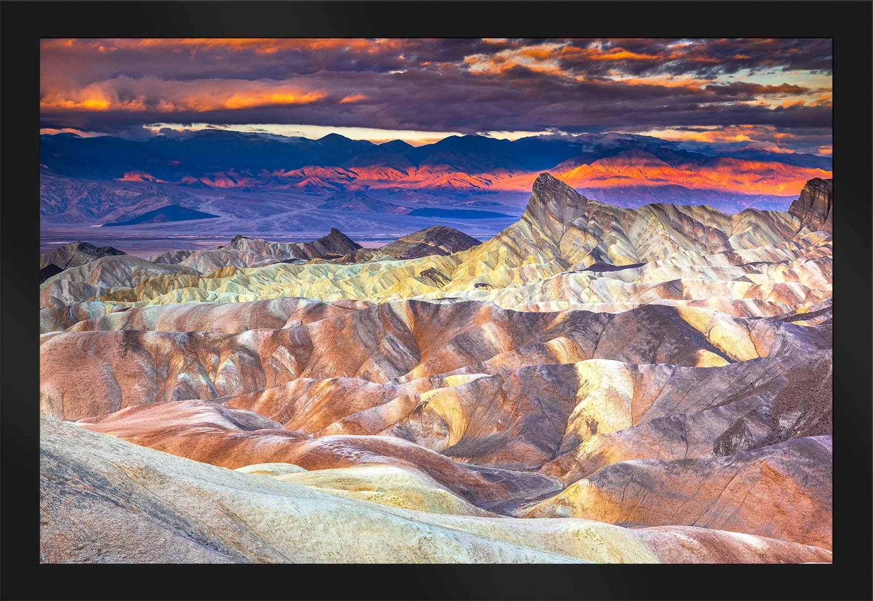 DeBock-Desert Paintbrush-Framed-Matte-Black-1800x.jpg