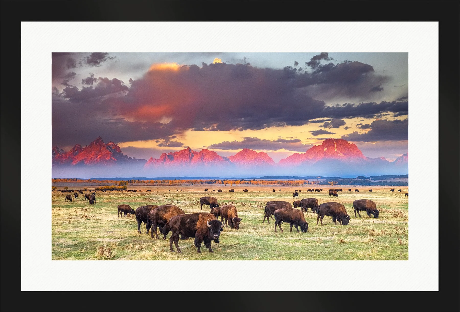 DeBock-Ancient-Land-Framed-Matte-Black-Wht-Liner-1800x.jpg