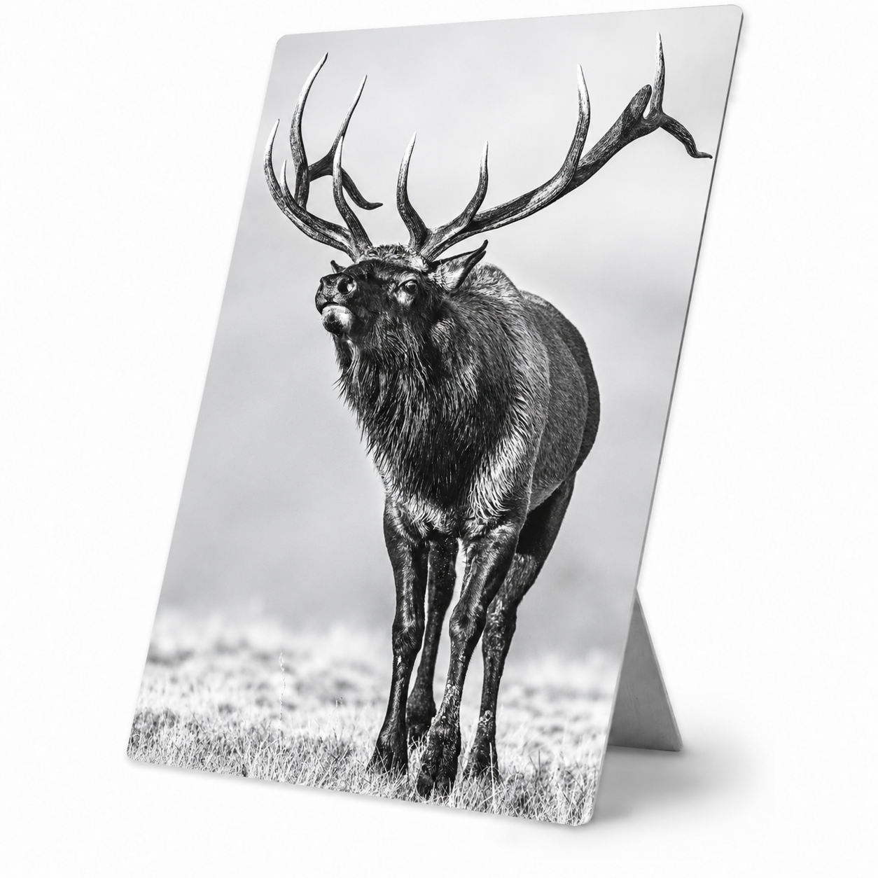 CALL OF THE WILD – Mini Metal