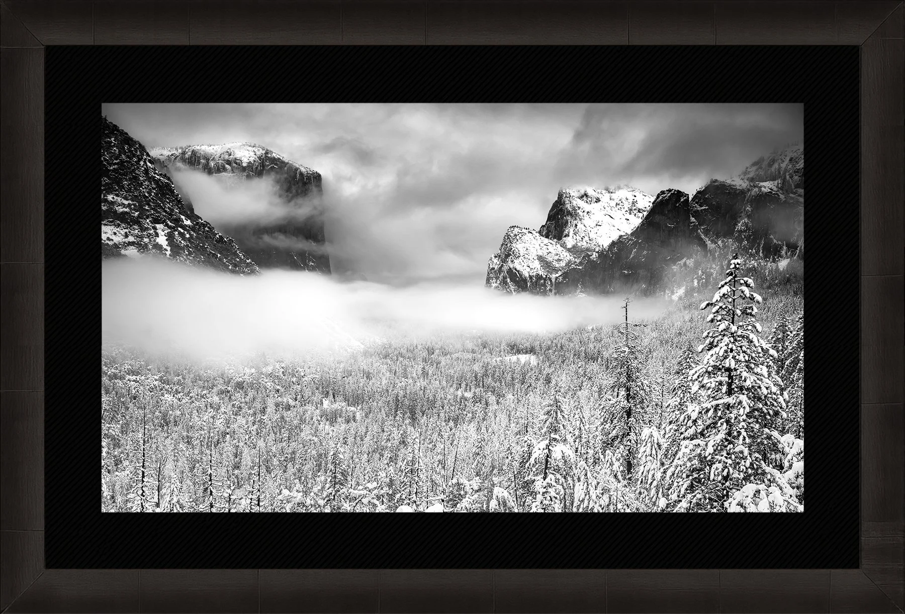 DeBock-Yosemite-Framed-Dark-Ash-Blk-Liner-1800x.jpg