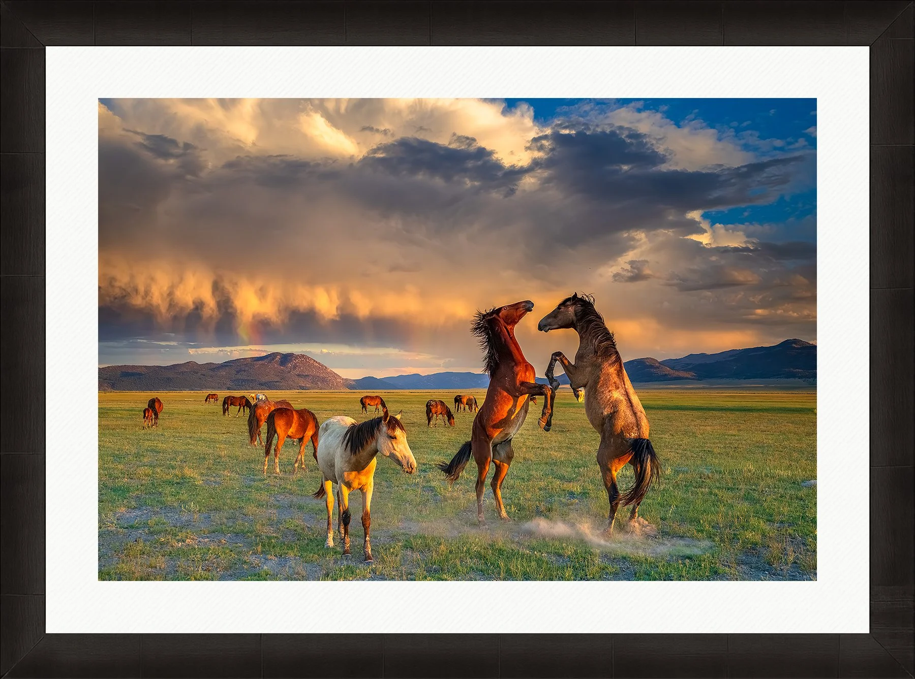 Blake-DeBock-Moment-of-Peace-Web-Framed-Summit-Ash-Wht-Liner-1800x.jpg