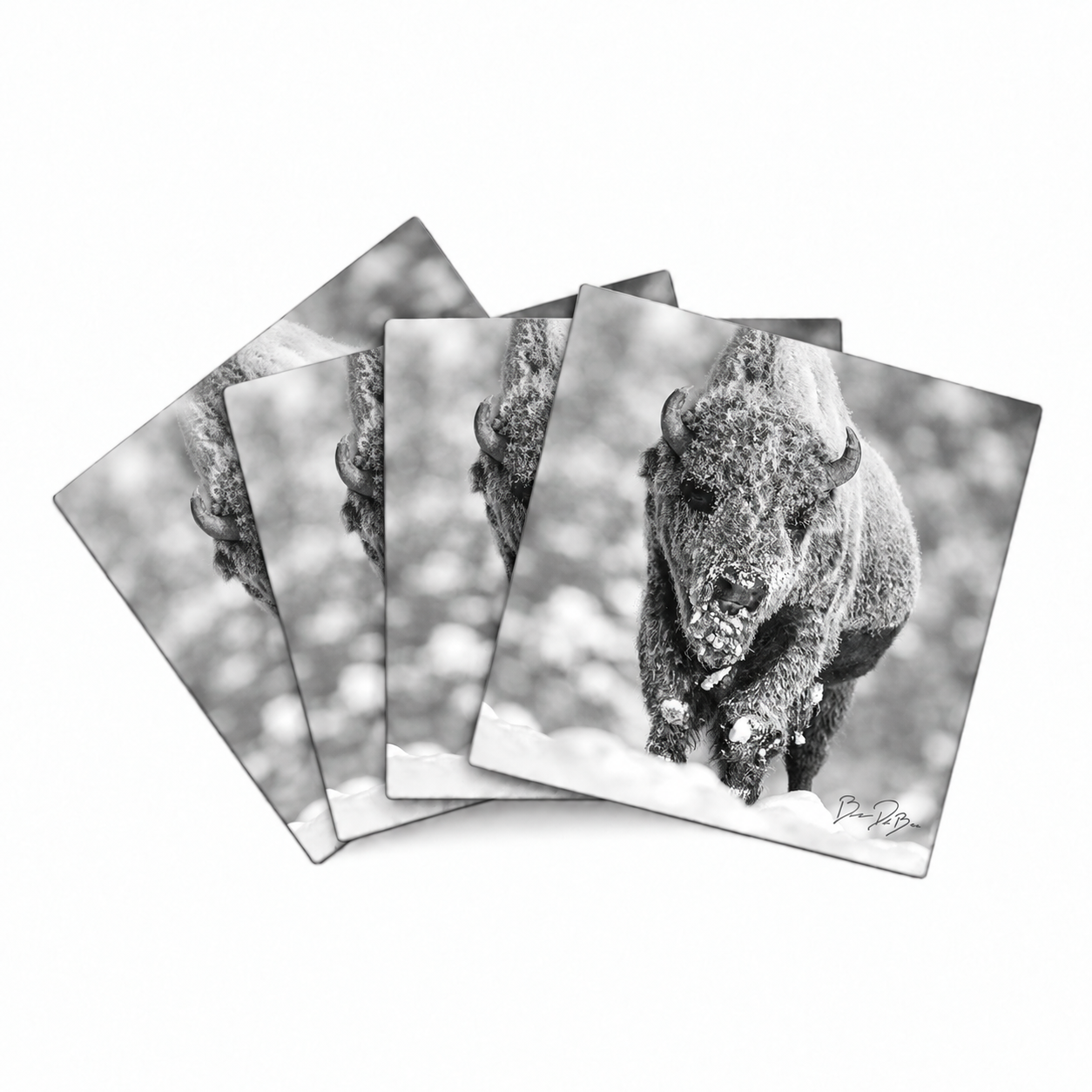 BISON – Coaster Set