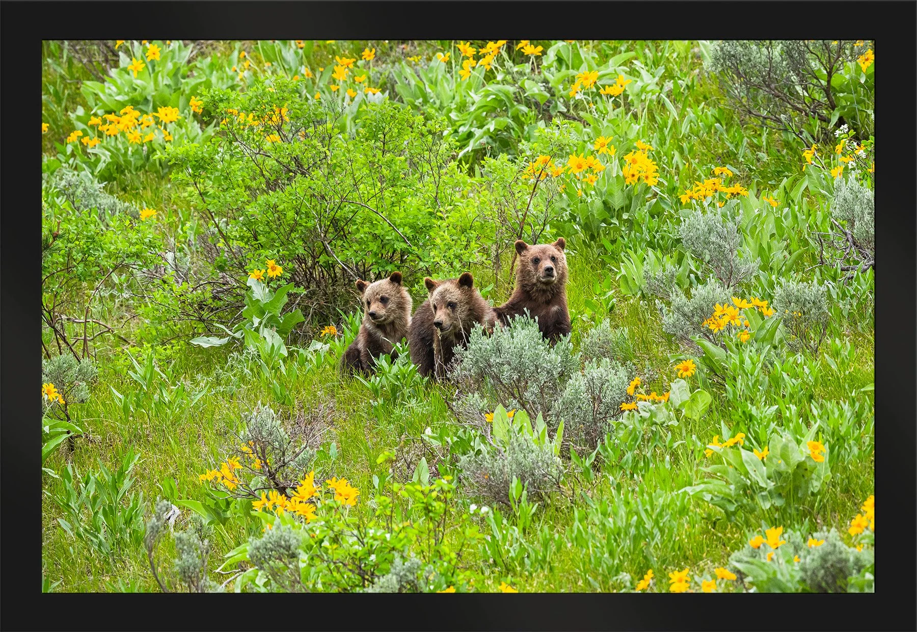 DeBock-Together-In-The-Wildflowers-Framed-Matte-Black-1800x.jpg