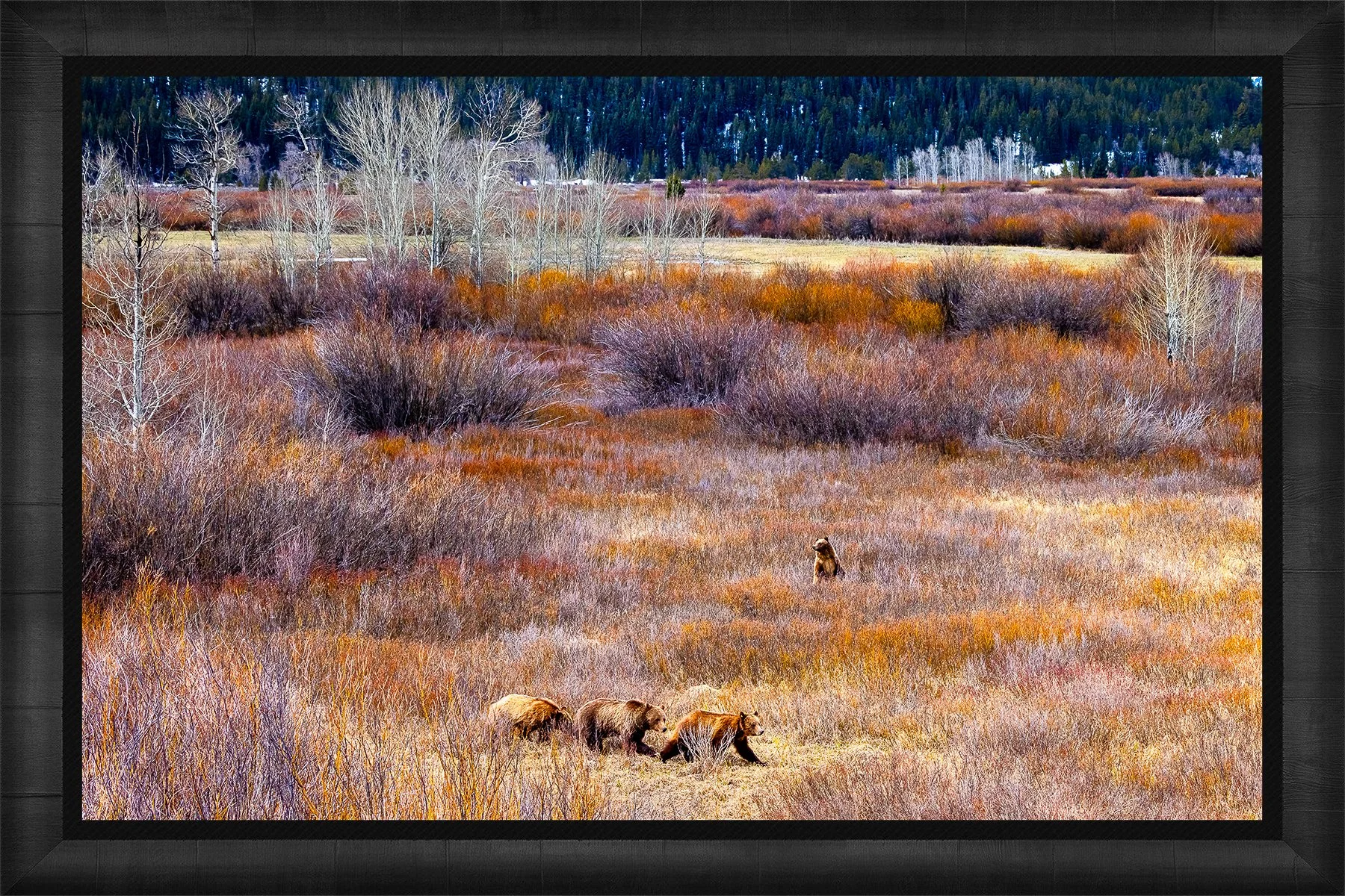 DeBock-Hide-And-Seek-Framed-1800px.jpg