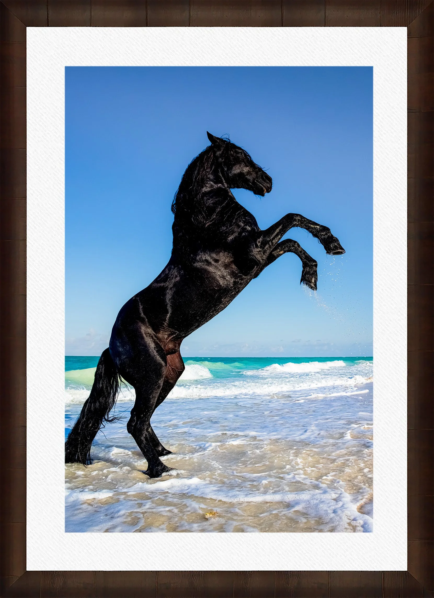 Framed-Cigar-Leaf-Wht-Liner.jpg