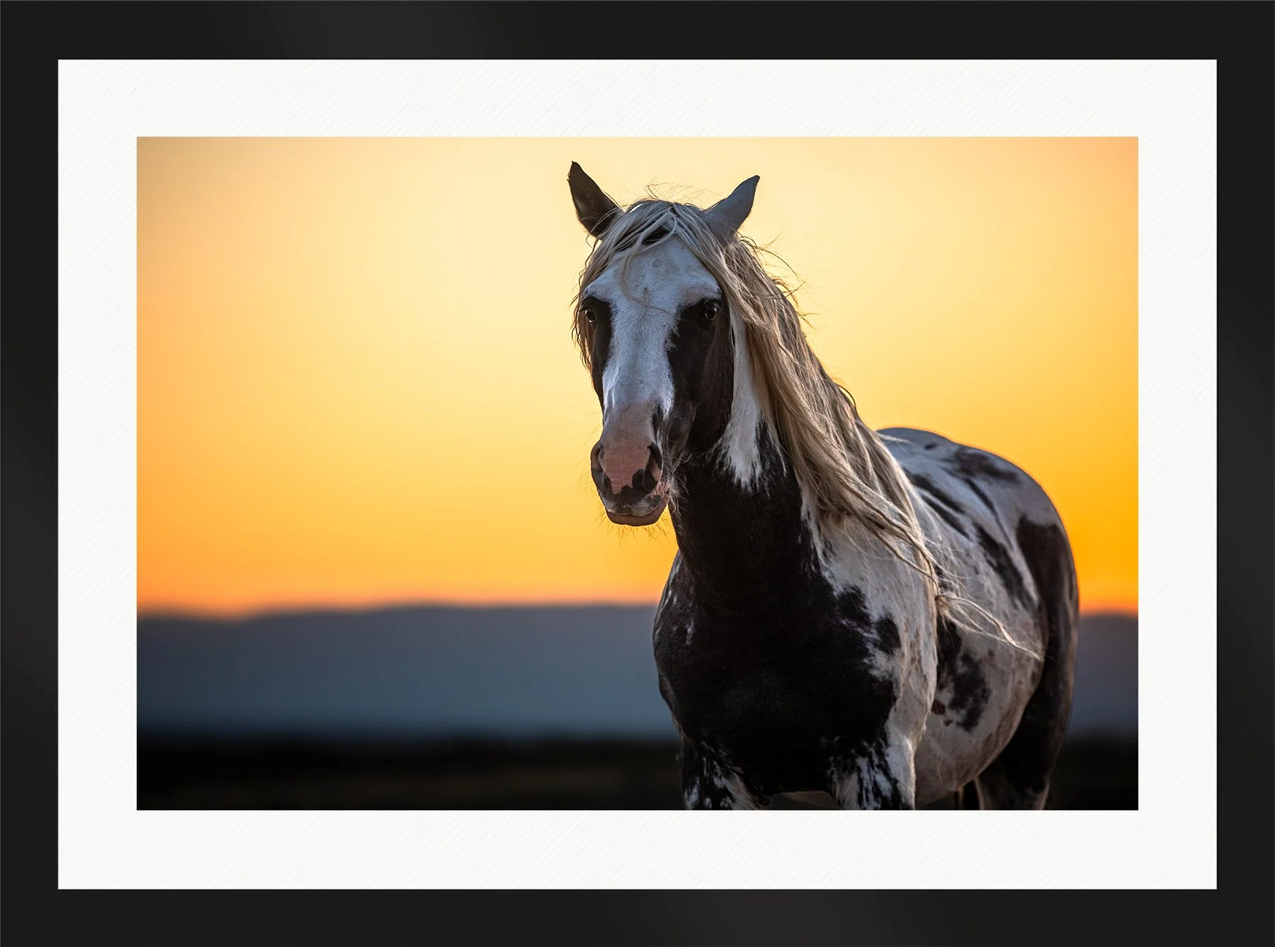 DeBock-The-Stallion-Framed-Matte-Black-Wht-Liner-1800x.jpg