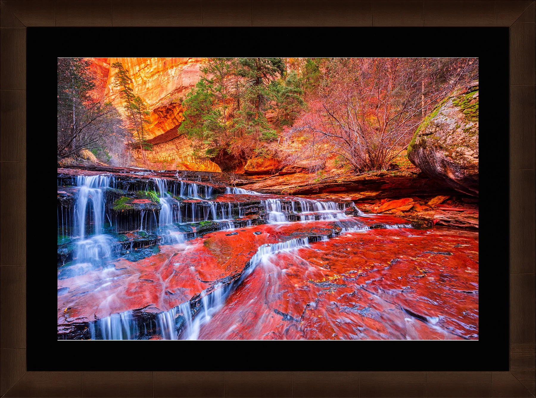 Blake-DeBock-Ancient-Canyon-Framed-Sequoia-Blk-Liner-1800x.jpg