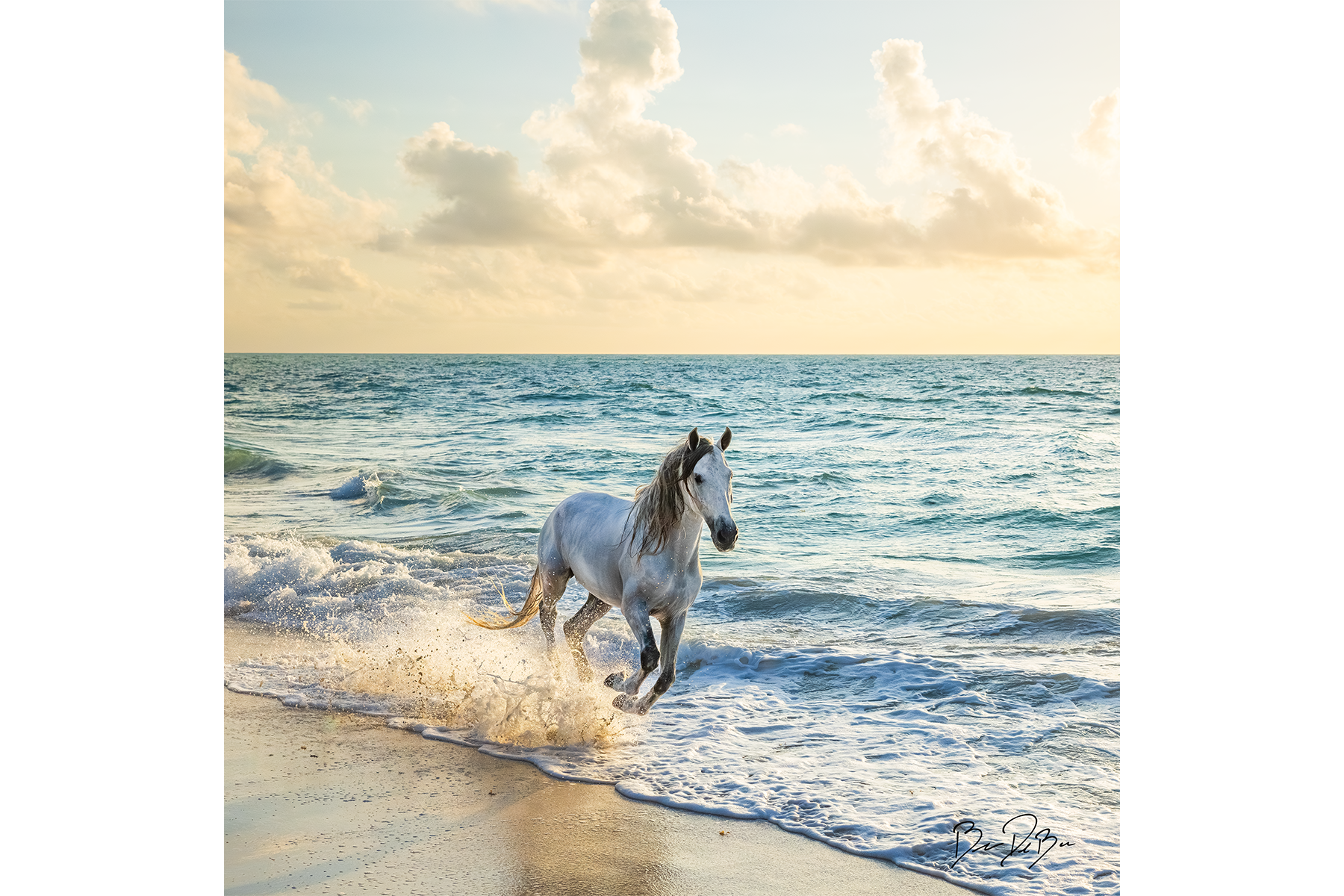 DeBock-Coastal-Run-12x12.png