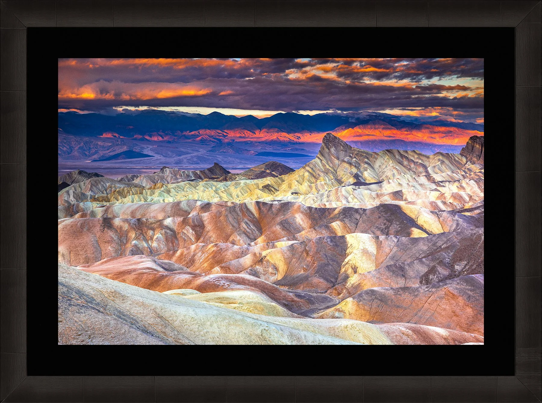 DeBock-Desert Paintbrush-Framed-Dark-Ash-Blk-Liner-1800x.jpg