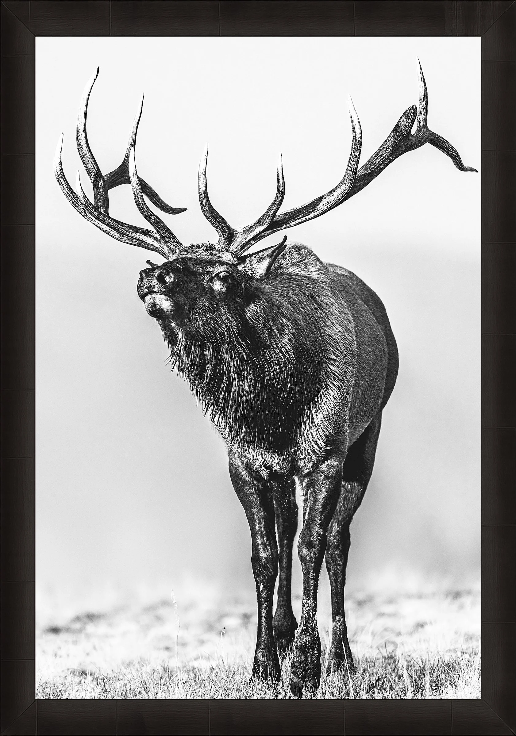 Blake-DeBock-Call-Of-The-Wild_web-Framed-Summit-Ash_web.jpg