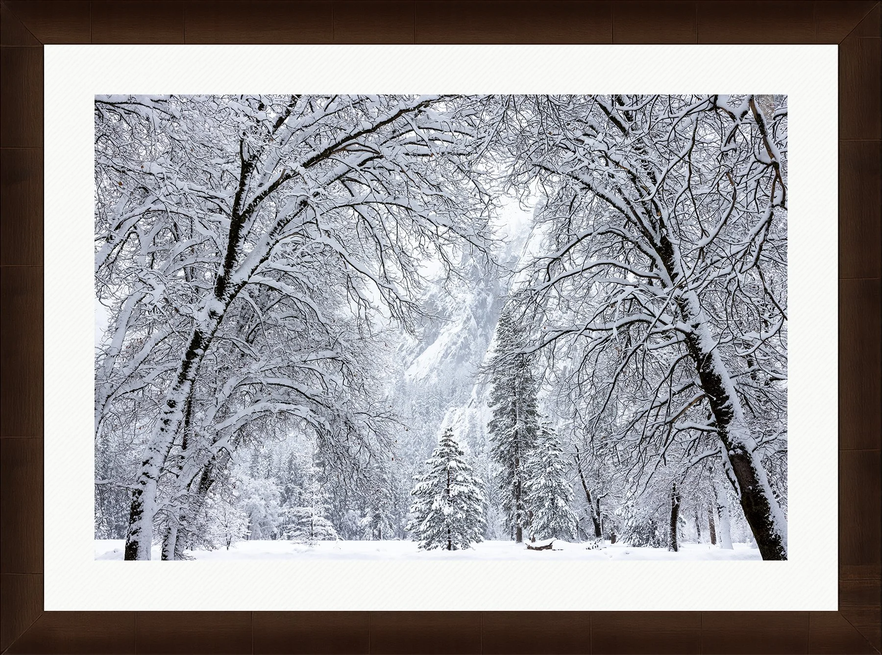 DeBock-Stillness-Framed-Sequoia-Wht-Liner-1800x.jpg
