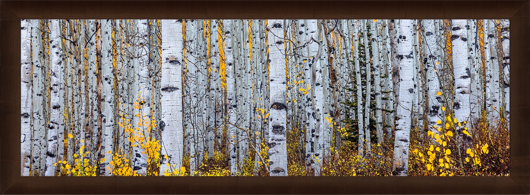 DeBock-Aspen-Forest-Framed-Cigar-Leaf-1800x.jpg