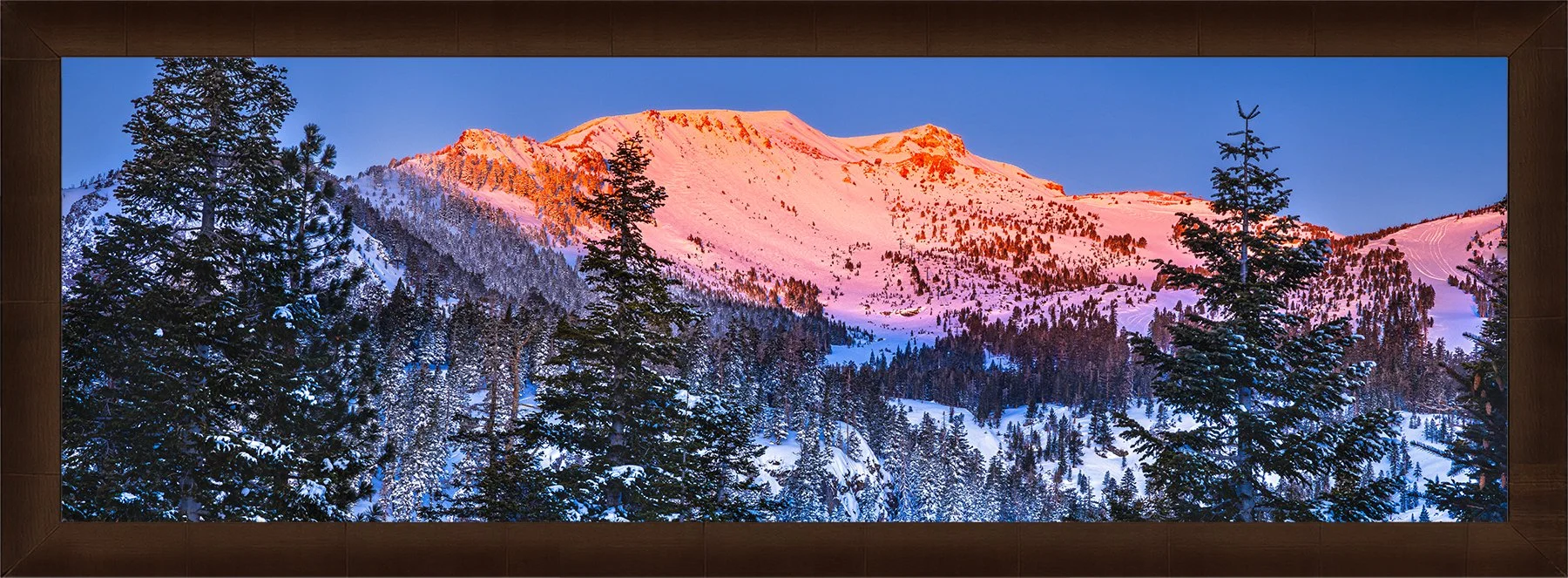 DeBock-Alpenglow-Framed-Cigar-Leaf-1800x.jpg