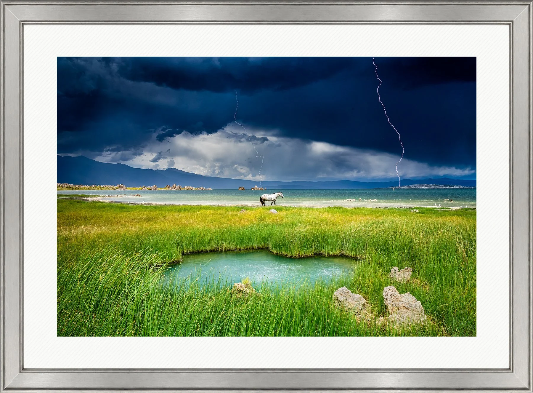 Blake-DeBock-The-Last-Stallion_web-Framed-Brushed-Silver-Wht-Liner_web.jpg