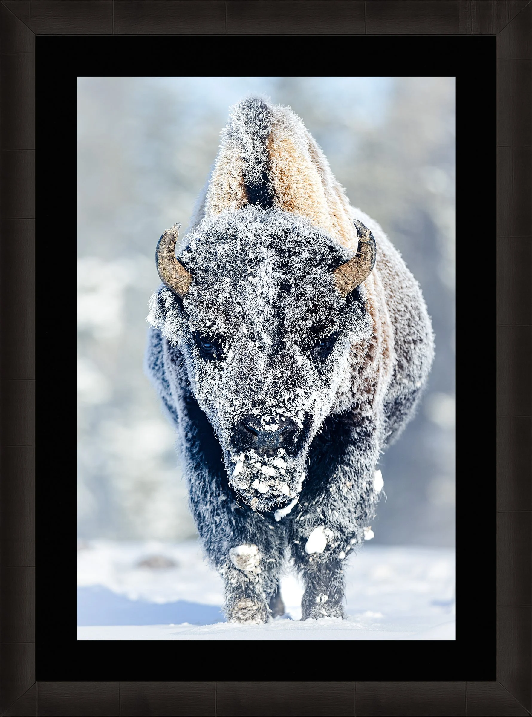 Blake-DeBock-Revenant_web-Framed-Summit-Ash-Blk-Liner_web.jpg