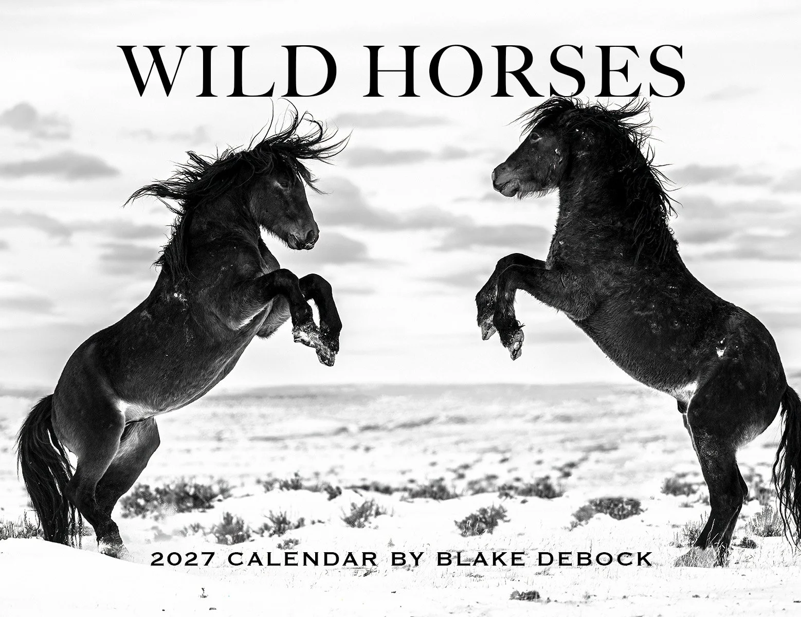 Blake-DeBock-Calendar-Mockup_web.jpg