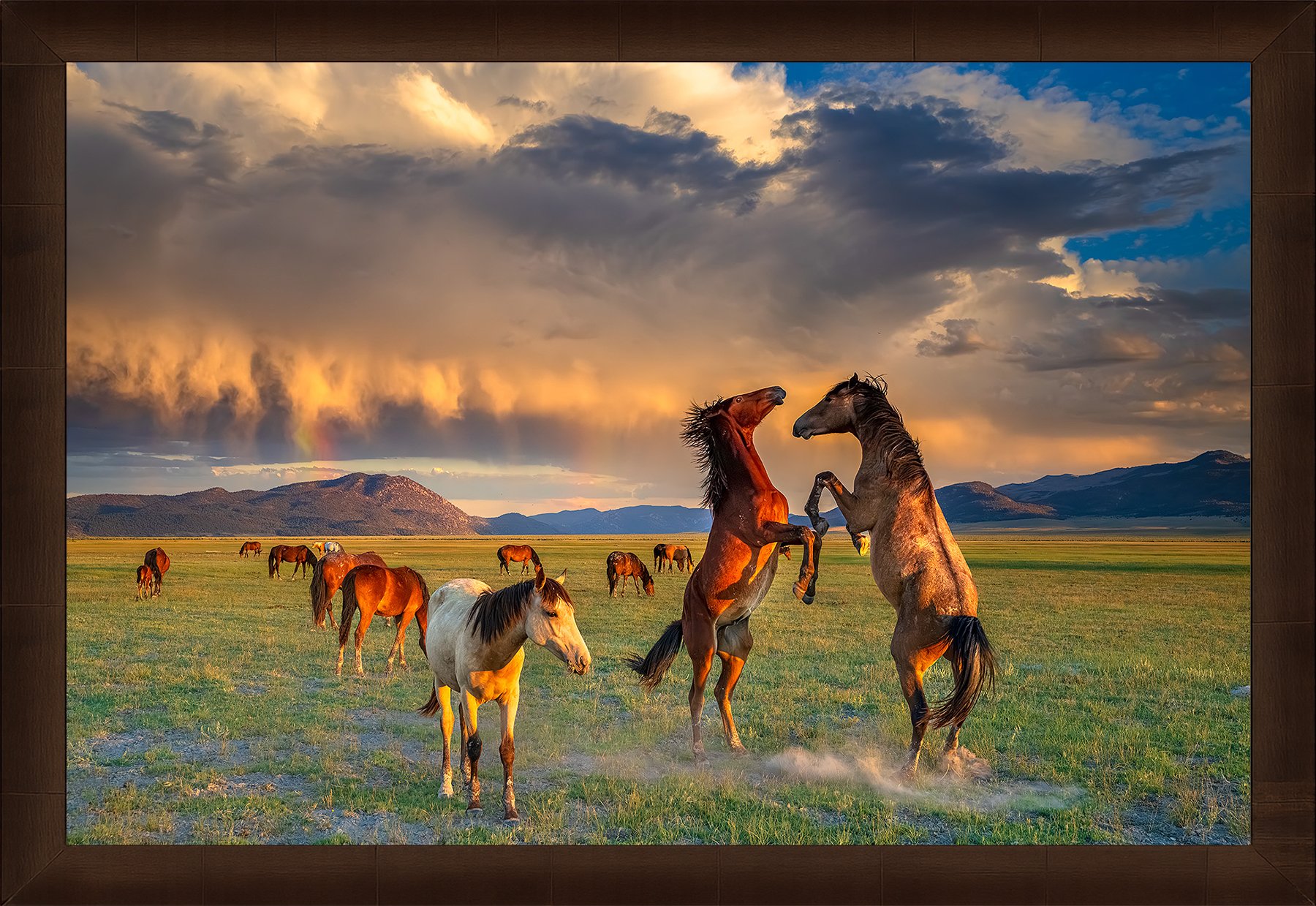 Blake-DeBock-Moment-of-Peace-Web-Framed-Sequoia-1800x.jpg