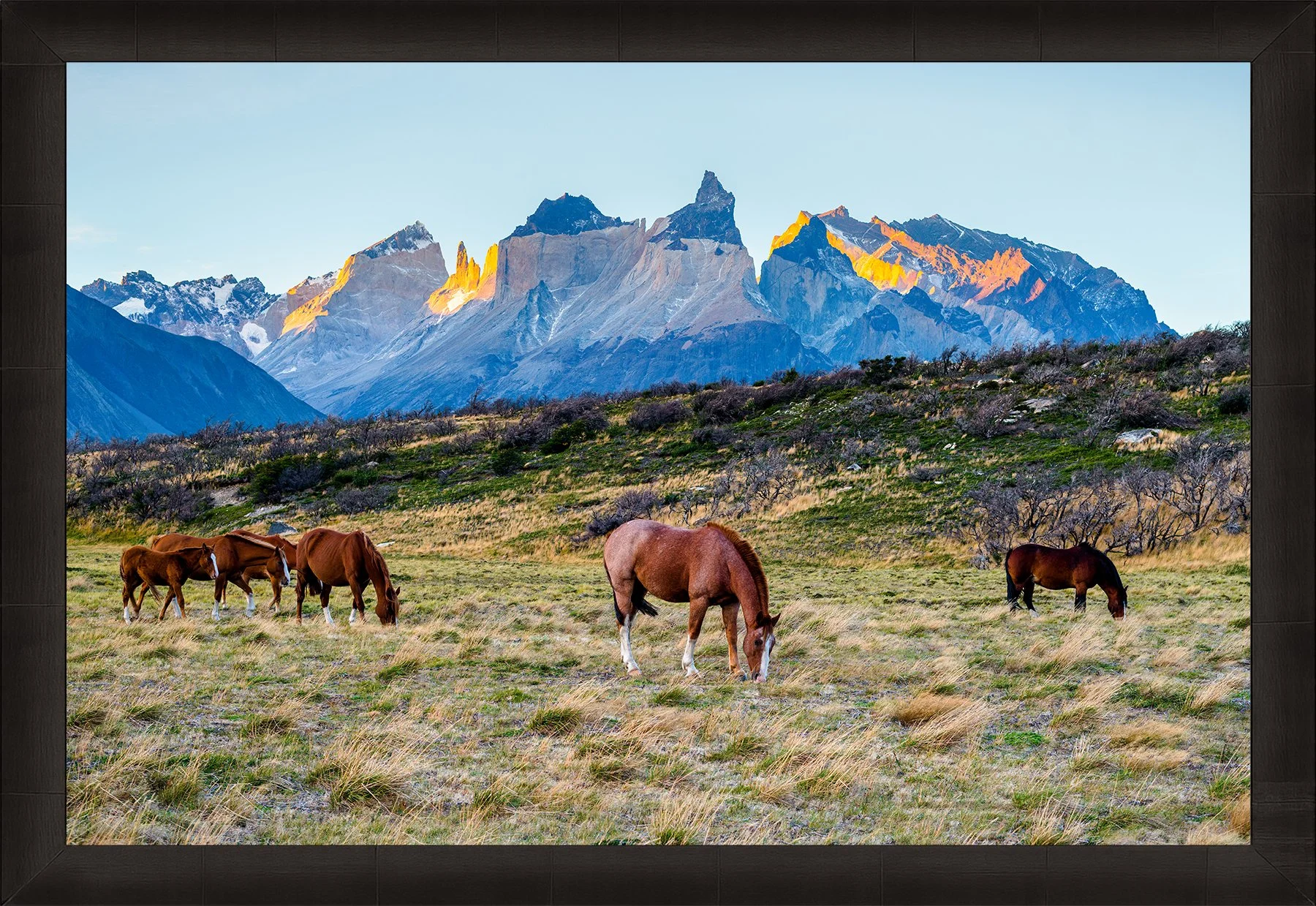 DeBock-Patagonian Horses-Framed-Dark-Ash-1800x.jpg