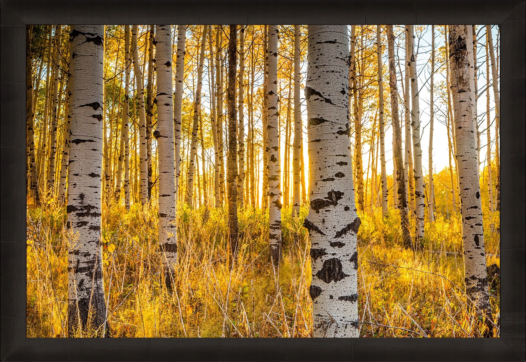 DeBock-Aspen-Glow-Framed-Dark-Ash-1800x.jpg